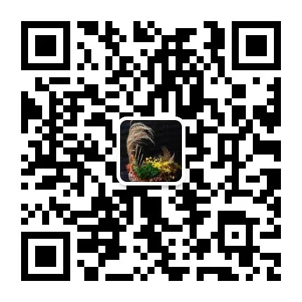 尘世茶馆微信公众号