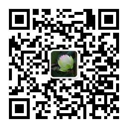 尘间禅微信公众号