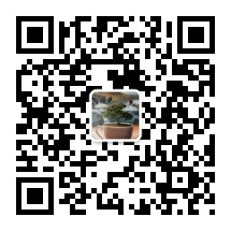 麻瓜单机游戏