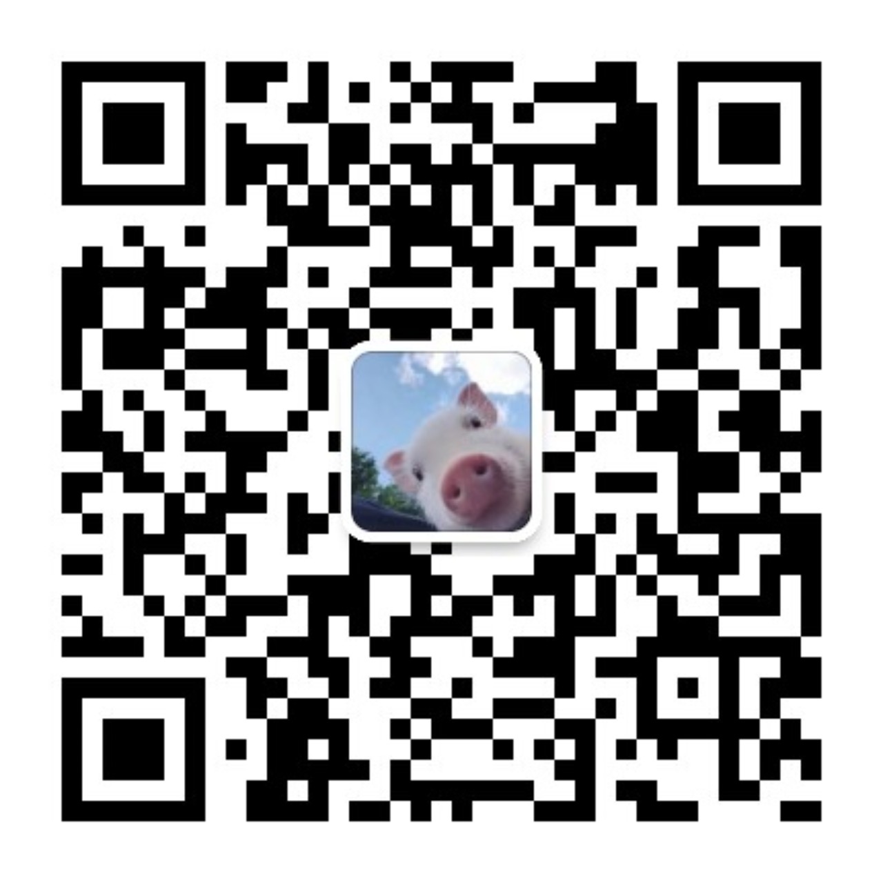 ZZZMV微信公众号