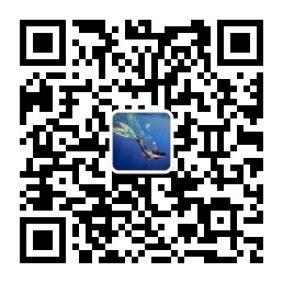 电影鱼微信公众号