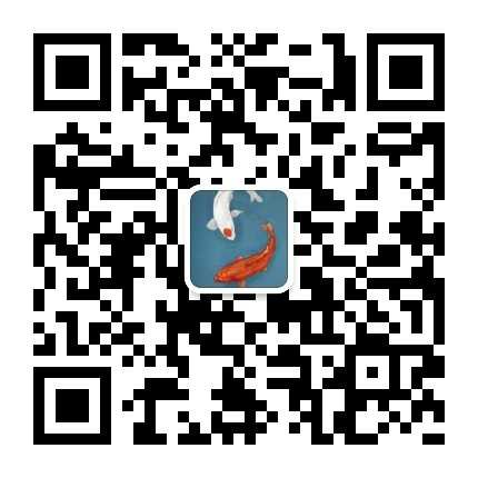 鱼條微信公众号