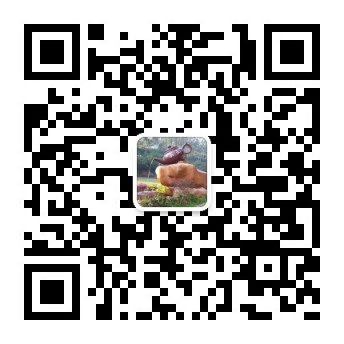 焦点安溪微信公众号
