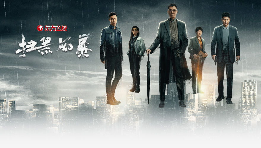 扫黑风暴（电视剧）