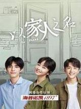 以家人之名（电视剧）
