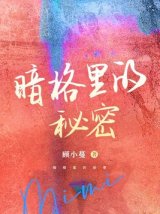 暗格里的秘密（小说）