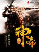 无上神帝（小说）