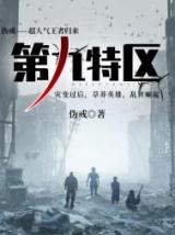 第九特区（小说）