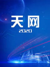 天网（纪录片）