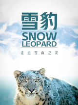 雪豹（纪录片）