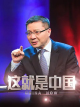 这就是中国（纪录片）