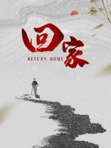 回家（纪录片）