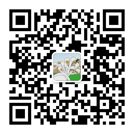 武汉九头鸟微信公众号