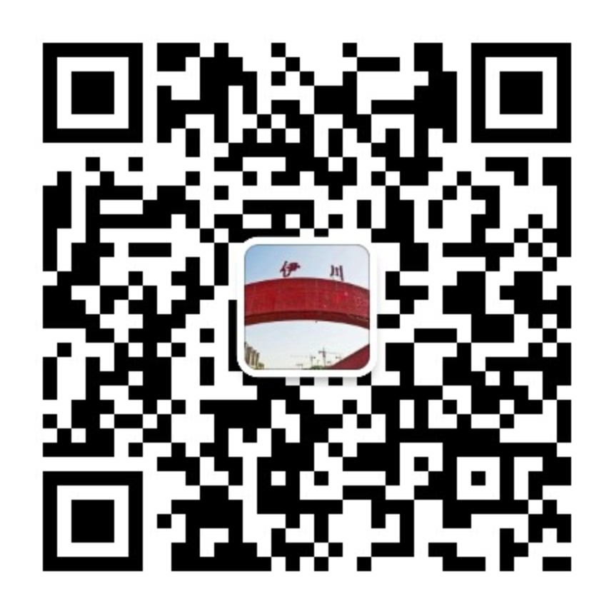 伊川资讯微信公众号