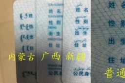 一个宿舍四款身份证