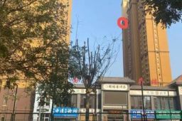 男子29楼扔男童致死 已被批捕