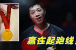 许昕晒二胎女儿握金牌照片