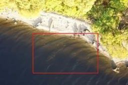 美媒：再次发现“尼斯湖水怪”