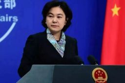 华春莹谈孟晚舟回国