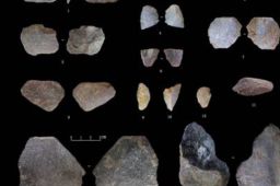 河南发现距今3.2万年人类头骨化石