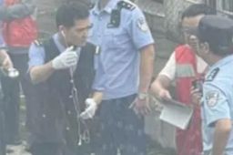 成都铁路局通报动车撞人事故