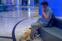 带导盲犬住酒店遭拒 珠海长隆致歉