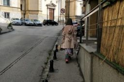 塞尔维亚失联成都女子与父亲相见