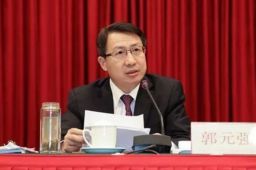 郭元强任武汉市委书记