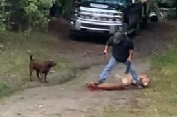 男子发现美洲狮攻击爱犬将其砍死