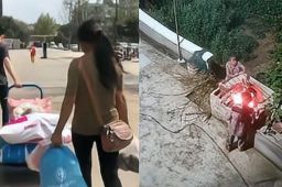 女儿十一不回家妈妈带鸡鸭去看望