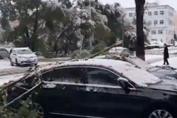 内蒙古呼伦贝尔突降大雪