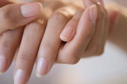 手指甲的月牙只是新长的指甲