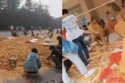 白马寺遇丰收游客帮僧人剥玉米