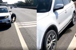 男子高速逼停漏油前车救下一家6口