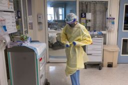 美国今年新冠死亡人数已超去年总和