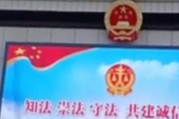 男子骑车被树砸伤致残获赔370万