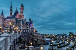 游客排队昏倒身故 园方承担责任吗