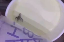 茶百道回应奶茶中喝出蜘蛛