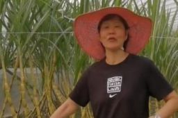 郎平卸任后首晒退休生活