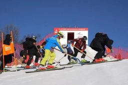 北京冬奥会女性参赛比例历届最高
