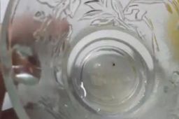 男子放虫碰瓷多家奶茶店获刑