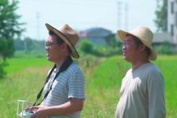 北大法学硕士辞掉公务员回乡种田