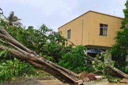 海南的风到底有多大