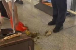 活蟹不让上高铁 男子踩死后带上车