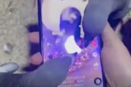 主人刷视频被鸽子群围啄屏幕