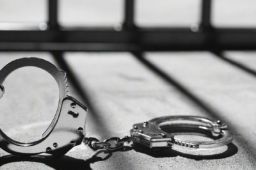 大V罗昌平涉嫌侮辱英烈被批捕