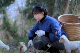 李子柒停更3月后上央视