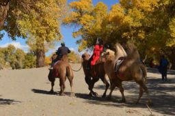 本土确诊78例 额济纳旗是什么地方