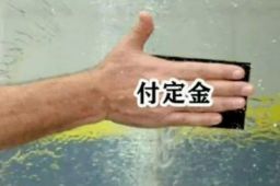 为什么付尾款总在半夜