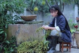 四川子柒文化公司：守约之诉属实